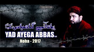 Nohay 2017  YAD AYEGA ABBAS ع  SYED RAZA ABBAS ZAIDI  Nohay 201718 [upl. by Sirronal796]