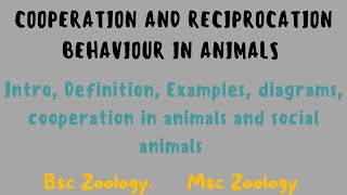 Cooperation and Reciprocation Behaviour in animals 5 or 10 marks Question  Ethology [upl. by Nellak]