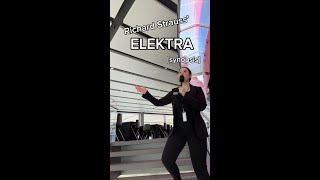 Strauss ELEKTRA Synopsis with TDOs Amy ONeil [upl. by Ramirolg]