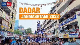 Janmashtami 2023 A Peek Inside DahiHandi Celebrations In Dadar [upl. by Olegnaleahcim]