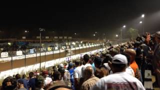 Williams Grove National Open [upl. by Leuqim]