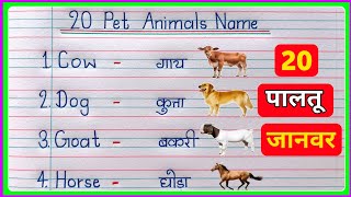 20 Pet Animals Name Hindi and English  20 Paltu Janwar ke Naam  20 Pet Animals Name in English [upl. by Ahsehyt995]