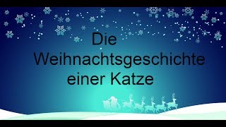 Die Weihnachtsgeschichte einer Katze [upl. by Meador]