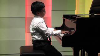 Abhik Live in Vienna Liebestraume No 3 Franz Liszt [upl. by Emaj]