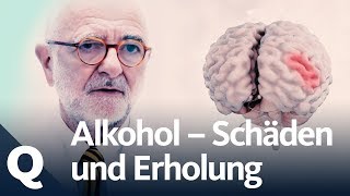 Wie gut kann sich der Körper vom Alkohol erholen  Quarks [upl. by Juster]