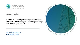 Pomoc dla przemysłu energochłonnego związana z cenami gazu ziemnego i energii elektrycznej w 2023 r [upl. by Maroney]