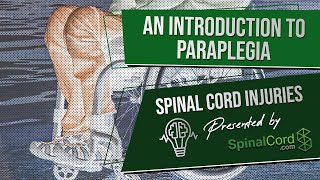 Paraplegic Definition Explained Causes Recovery Prognosis  Paraplegia  Spinal Cord Injury [upl. by Ybor344]