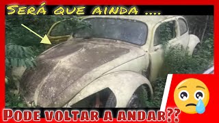 Fusca Abandonado em Minas  ainda podemos recuperar esta lenda [upl. by Naitsirt]