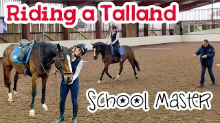 RIDING A DRESSAGE SCHOOL MASTER  Talland School of Equitation  EMD Eventing [upl. by Annel]