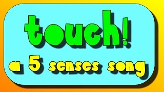 Touch A Five Senses Song [upl. by Knah910]