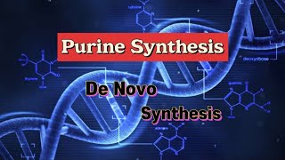 Purine Synthesis  De Novo Synthesis nucleotides dna purines [upl. by Buehrer]