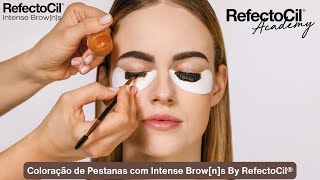 Coloração de Pestanas com Intense Browns By RefectoCil® [upl. by Eskill824]