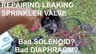 FIXED Leaking Sprinkler Valve  How to check bad solenoid or diaphragm [upl. by Enaffit592]