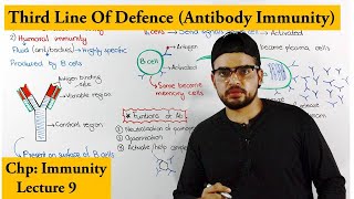 Humoral Or Antibody Immunity  A type of Adaptive Immunity [upl. by Kiefer949]