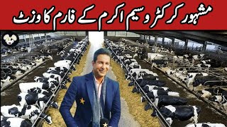 Visit To Wasim Akrams Dairy Farm  Holstein Friesian Cow Farming in Pakistan India  HF Cow Farming [upl. by Yaffit]