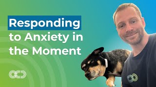 How to Respond to Anxiety in the Moment [upl. by Enomsed]