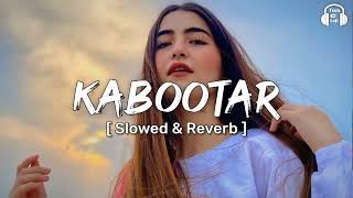 Kabootar 2024 Haryanvi Song  Kabootar  Renuka Panwar  Pranjal Dahiya  Haryanvi Songs 2024 lofi [upl. by Evelyn]