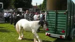 Horsmonden Horse Fair 2008 [upl. by Llenahc]