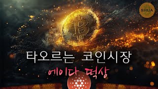 비트코인 연일 신고가 2024년 연말 종가는 결국 에이다도 간다 [upl. by Spieler]