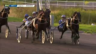 FRANCESCO ZET 1094 2140 SUNDSVALL OPEN TROT 2024 [upl. by Nimajneb]