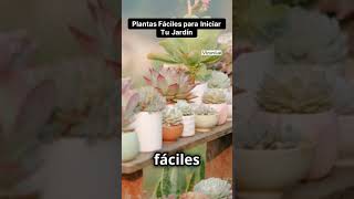 Tus Primeros Pasos en la Jardinería Plantas Fáciles de Cuidar [upl. by Norma]