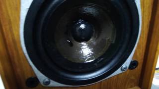 Celestion Ditton 11 Demo Cello [upl. by Irina]