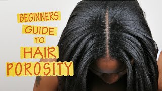 Hair Porosity 101  FOR BEGINNERS [upl. by Evangeline]