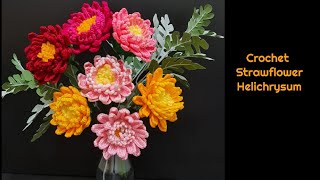 How to crochet Strawflowers plant  Helichrysum [upl. by Peppy]