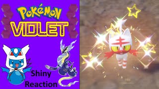 Pokemon Violet Shiny Litten Reaction [upl. by Inwat422]