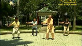 18 Chi Quong Shibashi Tai Chi Qigong 18 [upl. by Vanhook]