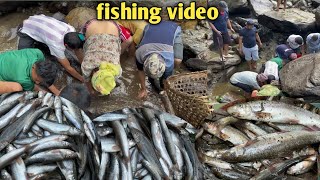 Traditional fishing style in Nepalfishing fishingvideo fish fishcurry villagelife rurallife [upl. by Ahsyekat979]