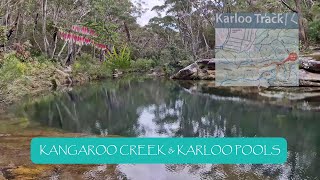 Royal National Park  Heathcote NSW  Kangaroo Creek amp Karloo Pools  Stunning swimming holes [upl. by Rosy]