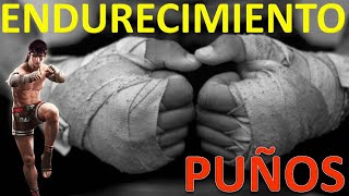 ENDURECIMIENTO DE PUÑOS Y PIES ARTES MARCIALES DEPORTES DE CONTACTO BOXEO [upl. by Acinna]