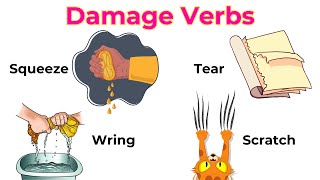 Damage Verbs  Action Verbs  English Vocabulary  Common English words  Kiwi English [upl. by Ennairak742]