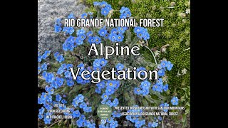 Forest Specialist Series Alpine Vegetation [upl. by Hendren]