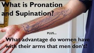 What is Pronation and Supination of the Forearm [upl. by Burris]