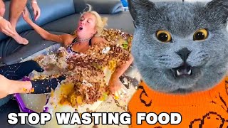 How Can We STOP WASTING FOOD… 🍔🍕🍗  Oscar‘s Funny World  Cute And Funny Cat TikTok [upl. by Kirshbaum]