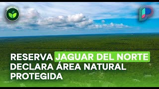 Naturalia Certifican Tres Corrientes Jaguar del Norte como zona de conservación en Sonora [upl. by Nomi]