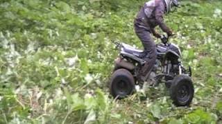 QUAD 250 BASHAN ATV [upl. by Ryter]