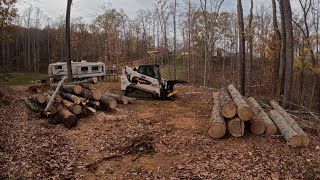 🔴⚫️ Part 1What can you do with a Halverson Grapple Saw on a Bobcat SkidSteer⚫️🔴Lets FIND out👊🏻➡️ [upl. by Rez]