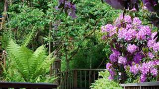 Lost Gardens of Heligan  Cornwall [upl. by Imailiv652]