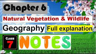 NATURAL VEGETATION amp WILDLIFE Geography Class 7 Notes amp Explanation  Chapter 6 Geo Class 7 Notes [upl. by Rehpotsyrhc]