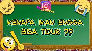 10 Teka Teki Lucu dan Menjebak Part 10 Kuiz Jenius Tes Jenius [upl. by Howlan]