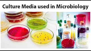 List of culture media used in microbiology microbiology culturemedia [upl. by Arorua]