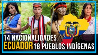 PUEBLOS Y NACIONALIDADES INDÍGENAS DEL ECUADOR [upl. by Ribaj893]