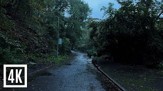 Rain Walk in New York Park  4K Ambience Sounds [upl. by Alurd]