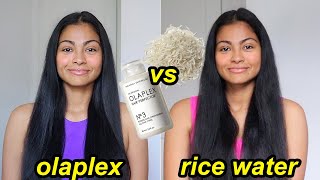 Rice Water vs Olaplex Hair Wash  Which is better for your hair 🧐 [upl. by Balcer59]