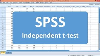 Independent ttest  SPSS Example 1 [upl. by Eskil534]