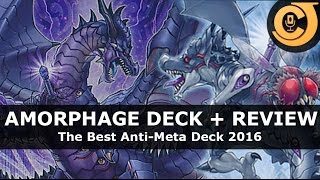 Bestes AntiMeta Deck 2016  AMORPHAGE  Deck Profile  Review [upl. by Brightman759]