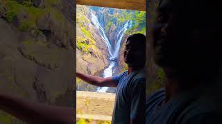 DUDHSAGAR WATERFALLS GOA [upl. by Notpmah]